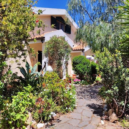 La Pirata Capitana Bed & Breakfast Costa degli Angeli Dış mekan fotoğraf
