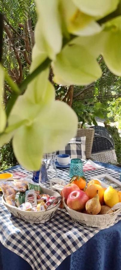 La Pirata Capitana Bed & Breakfast Costa degli Angeli Dış mekan fotoğraf