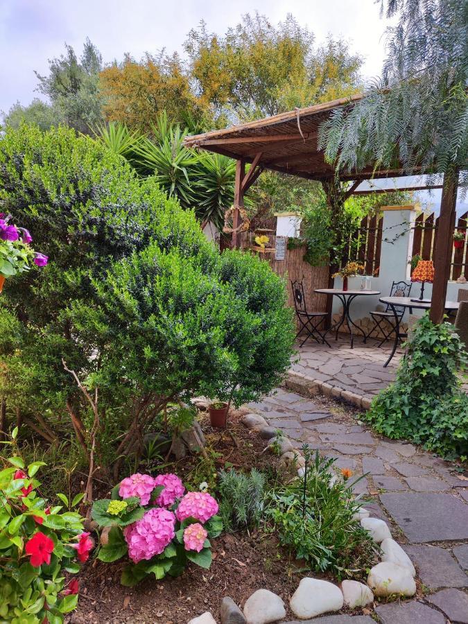 La Pirata Capitana Bed & Breakfast Costa degli Angeli Dış mekan fotoğraf